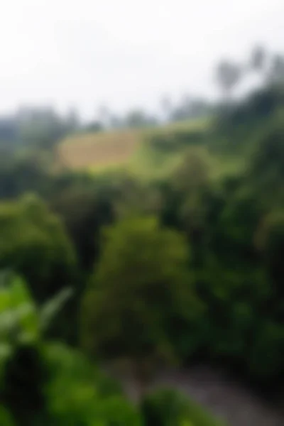 Bali Indonezia Călătorie temă blur fundal — Fotografie, imagine de stoc