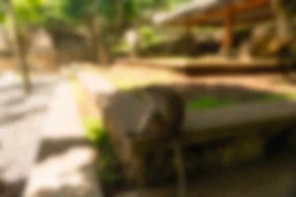 Bali Indonesia Travel theme blur background — Stock Photo, Image