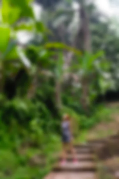 Bali Indonesia Travel theme blur background — Stock Photo, Image