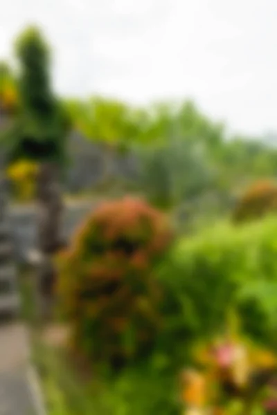 Bali Indonesia Travel theme blur background — Stock Photo, Image