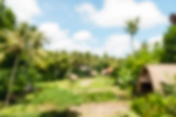 Bali Indonesia Travel theme blur background — Stock Photo, Image