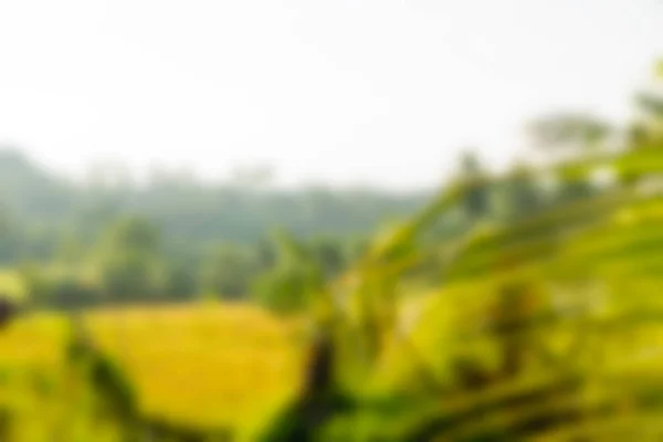 Bali Indonesia Travel theme blur background — Stock Photo, Image