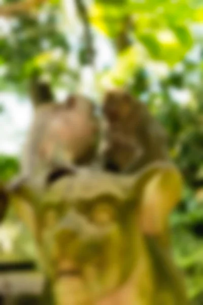 Ubud Monkey Forest Bali Indonesien resetemat oskärpa bakgrund — Stockfoto