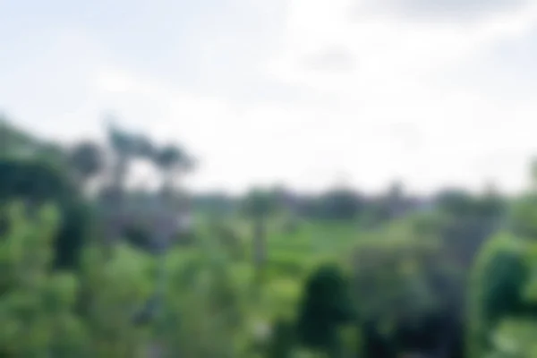 バリインドネシア旅行テーマぼかし背景 — ストック写真