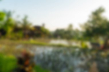 Bali Endonezya Seyahat tema bulanıklık arka plan