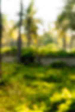 Gili Adaları Endonezya Seyahat Tema arka plan bulanıklık