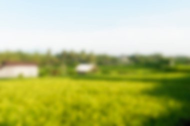 Bali Endonezya Seyahat tema bulanıklık arka plan