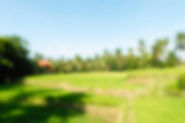 Bali Endonezya Seyahat tema bulanıklık arka plan