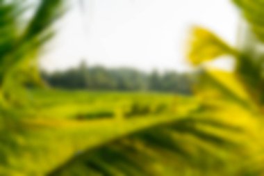 Bali Endonezya Seyahat tema bulanıklık arka plan