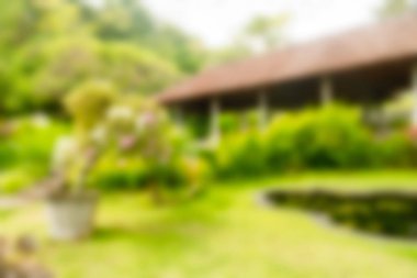 Bali Endonezya Seyahat tema bulanıklık arka plan