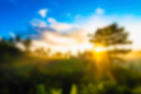 Bali Indonesia Travel theme blur background