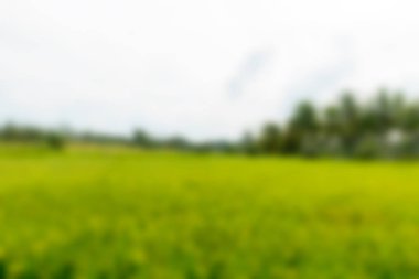 Bali Endonezya Seyahat tema bulanıklık arka plan