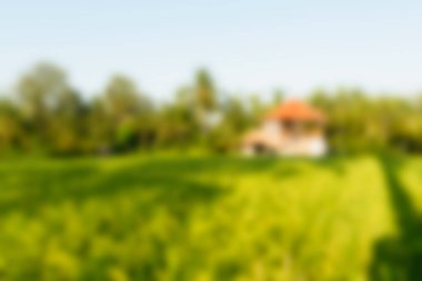 Bali Endonezya Seyahat tema bulanıklık arka plan