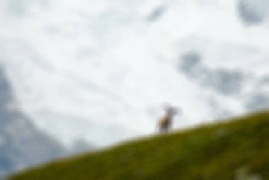 Dağcılık turizm Tema bulanıklık arka plan