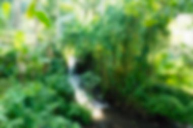 Bali Endonezya Seyahat tema bulanıklık arka plan