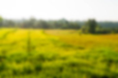 Bali Endonezya Seyahat tema bulanıklık arka plan