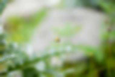 Dağcılık turizm Tema bulanıklık arka plan