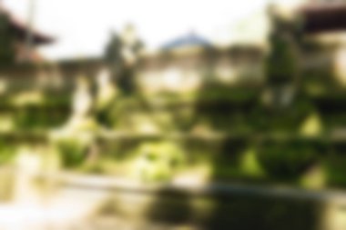 Ubud maymun orman Bali Endonezya Seyahat Tema arka plan bulanıklık