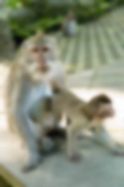 Bali Indonezia Călătorie temă blur fundal — Fotografie, imagine de stoc