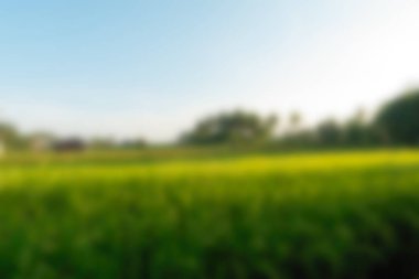 Bali Endonezya Seyahat tema bulanıklık arka plan