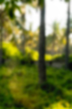 Gili Adaları Endonezya Seyahat Tema arka plan bulanıklık