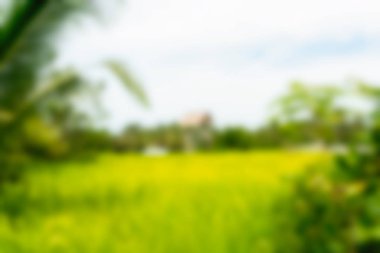 Bali Endonezya Seyahat tema bulanıklık arka plan