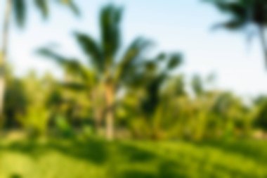 Bali Endonezya Seyahat tema bulanıklık arka plan