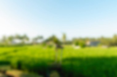 Bali Endonezya Seyahat tema bulanıklık arka plan