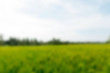 Bali Endonezya Seyahat tema bulanıklık arka plan