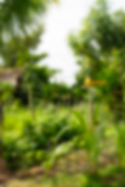 Bali Endonezya Seyahat tema bulanıklık arka plan