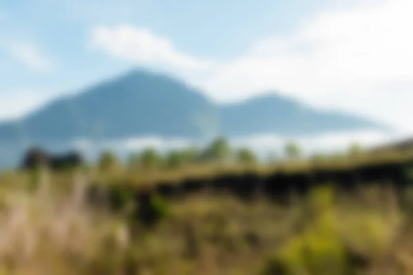 Bali Indonesia Travel theme blur background — Stock Photo, Image