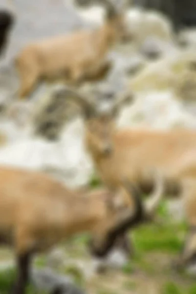 Bergsteigen Tourismus Thema verschwimmen Hintergrund — Stockfoto