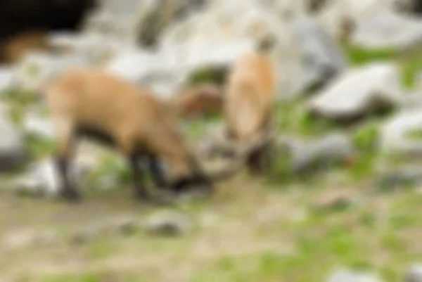 Montañismo turismo tema desenfoque fondo — Foto de Stock