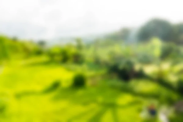 Bali Indonesia Travel theme blur background — Stock Photo, Image