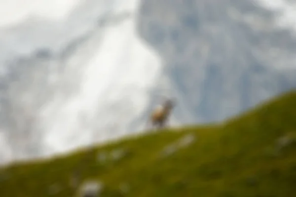 Montañismo turismo tema desenfoque fondo — Foto de Stock