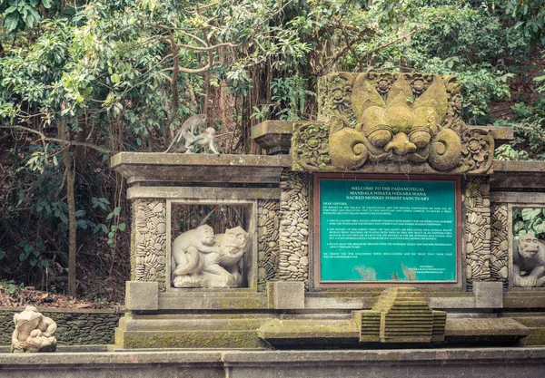Monkey forest entrance — Stock Photo, Image