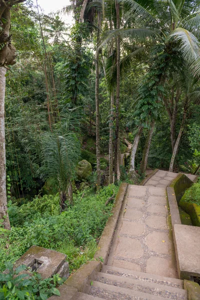 Park w Goa Gajah — Zdjęcie stockowe