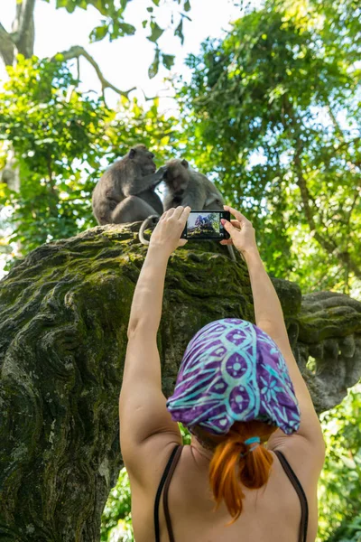 Tourist taking photos of monkeys in Ubud — Stock Photo, Image