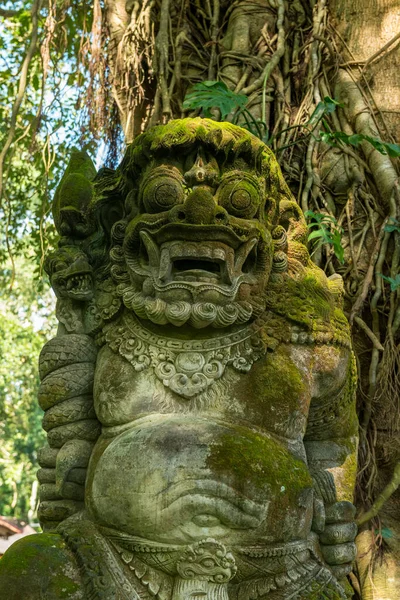 Vista da floresta sagrada de macacos em Ubud — Fotografia de Stock