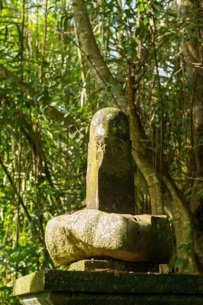 View of sacred Monkey Forest in Ubud — Stock Photo, Image