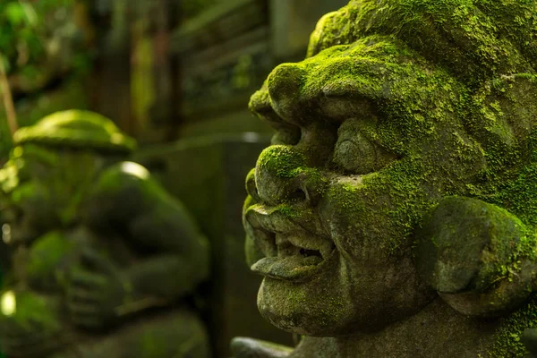 Blick auf den heiligen Affenwald in Ubud — Stockfoto