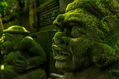 Ubud 'daki kutsal maymun ormanının manzarası