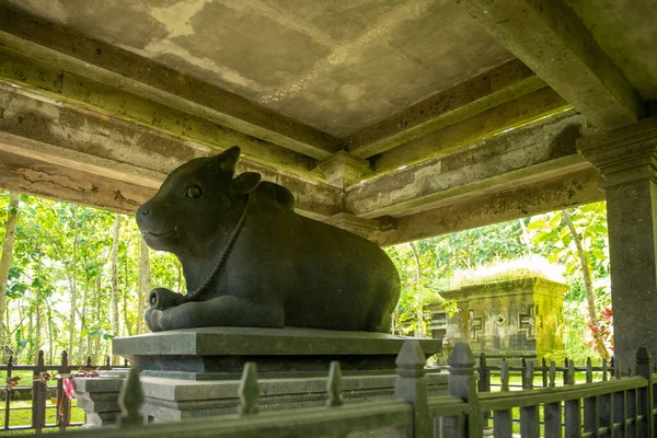 Vista da floresta sagrada de macacos em Ubud — Fotografia de Stock