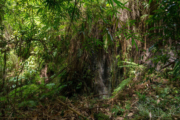 Ботанический сад на Бали
