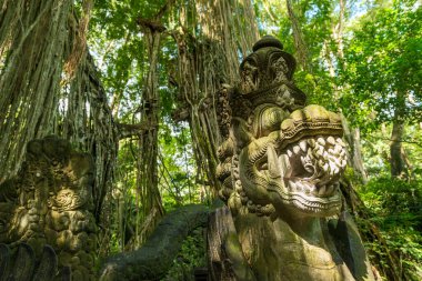 Ubud 'daki kutsal maymun ormanının manzarası