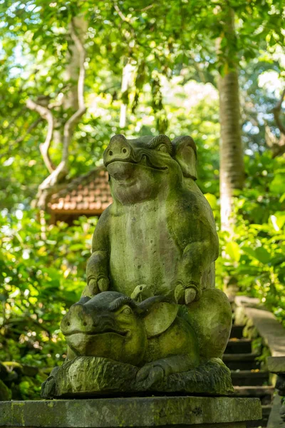 View of sacred Monkey Forest in Ubud — Stock Photo, Image