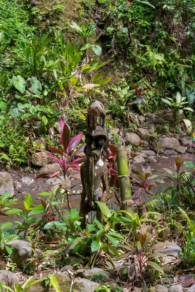 巴厘岛植物园 — 图库照片