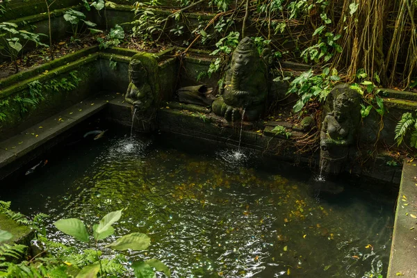 View of sacred Monkey Forest in Ubud — Stock Photo, Image