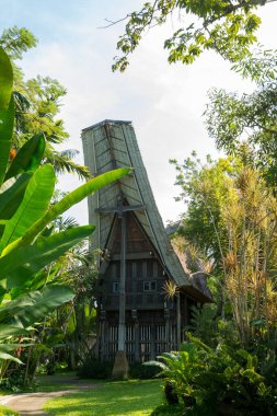 Bali kuş parkında turist