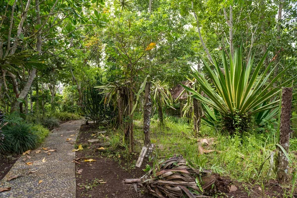 Jardim botânico em Bali — Fotografia de Stock